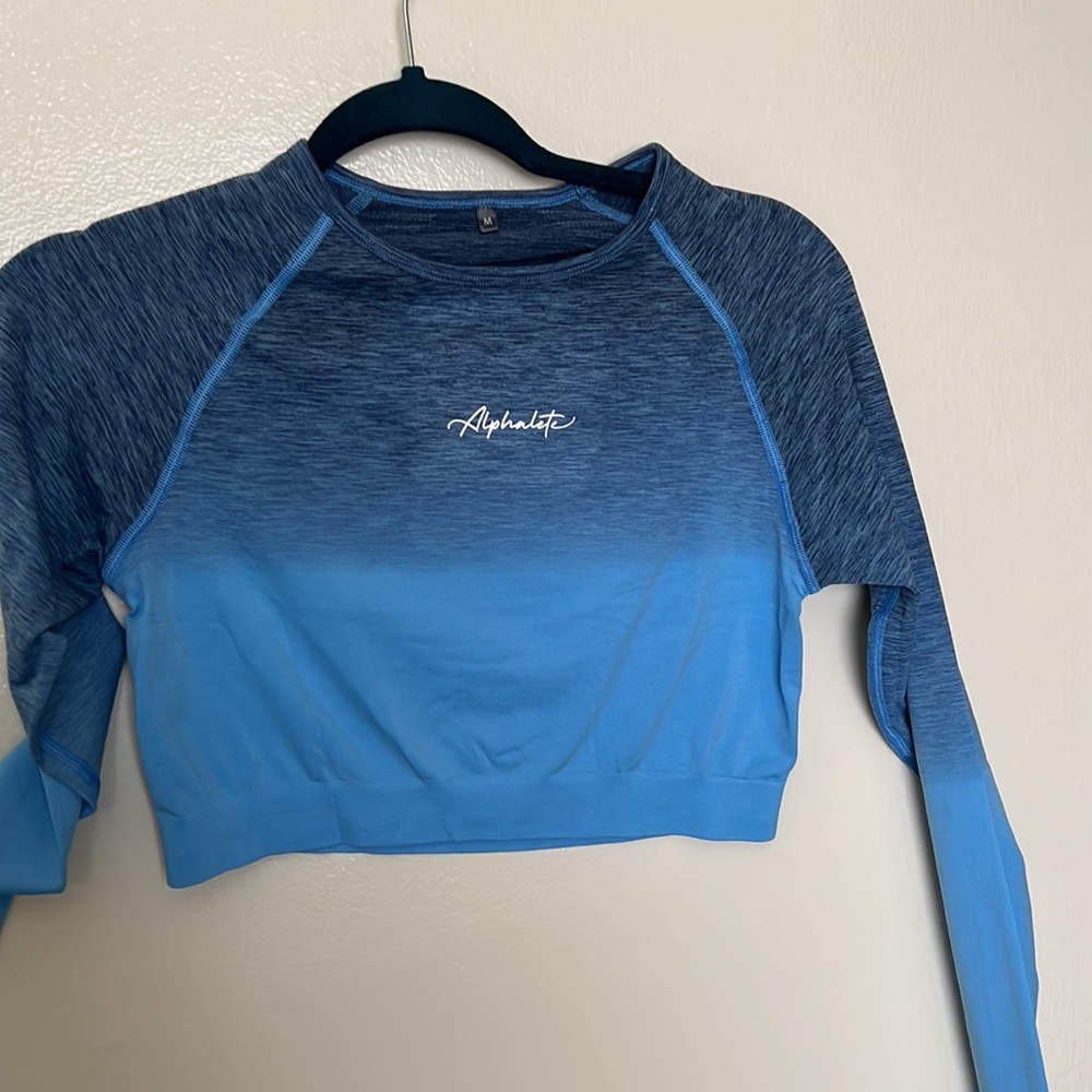 Ombré seamless ls crop